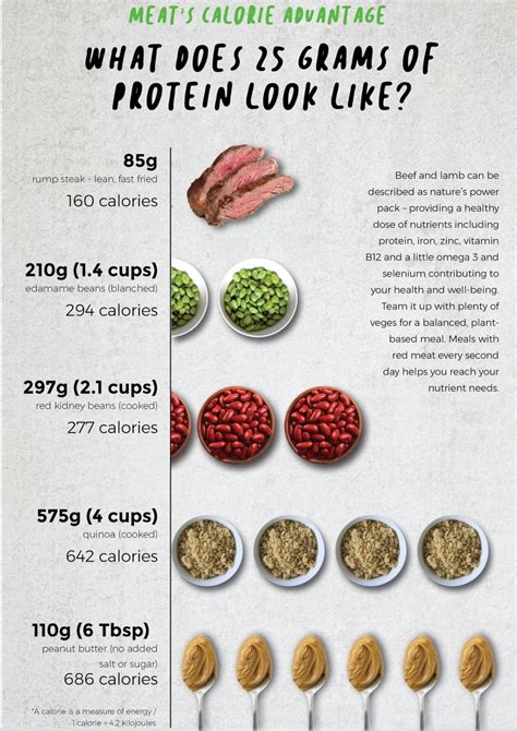 How many protein are in beef - calories, carbs, nutrition